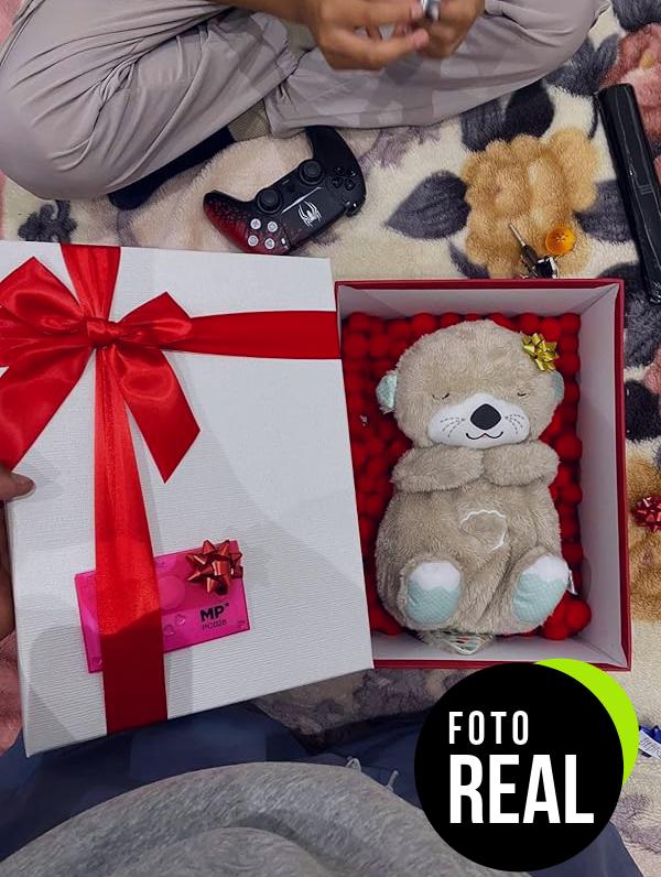 fisher-price-nutria-peluche-musical-fxc66-foto-1
