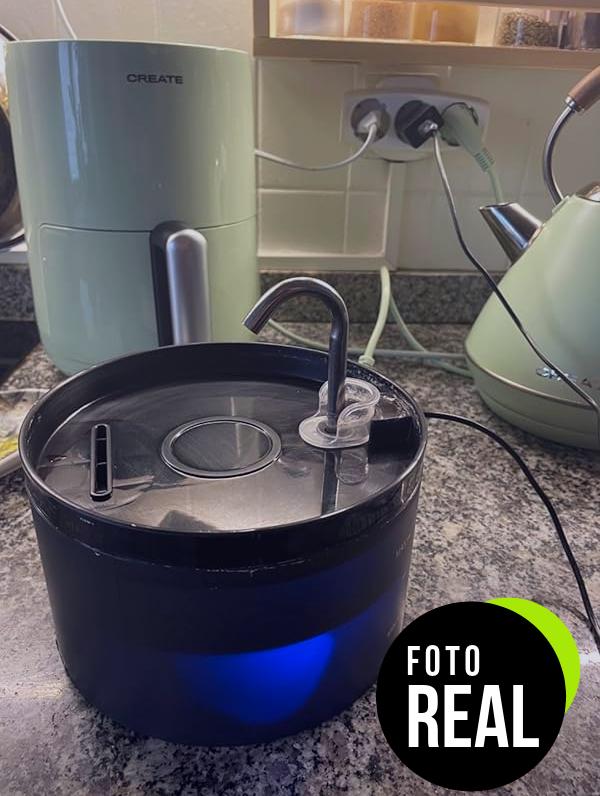 fuente-gatos-2l-giotohun-foto-3