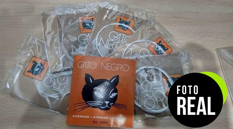 gato-negro-cuerdas-guitarra-1-foto-3