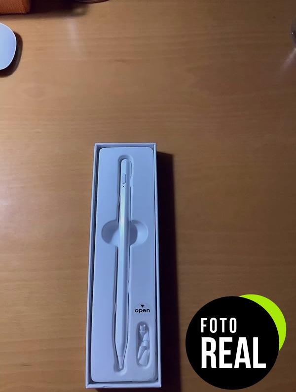 lapiz-stylus-ipad-2024-rechazo-palma-foto-1