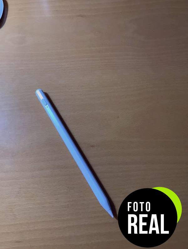 lapiz-stylus-ipad-2024-rechazo-palma-foto-2