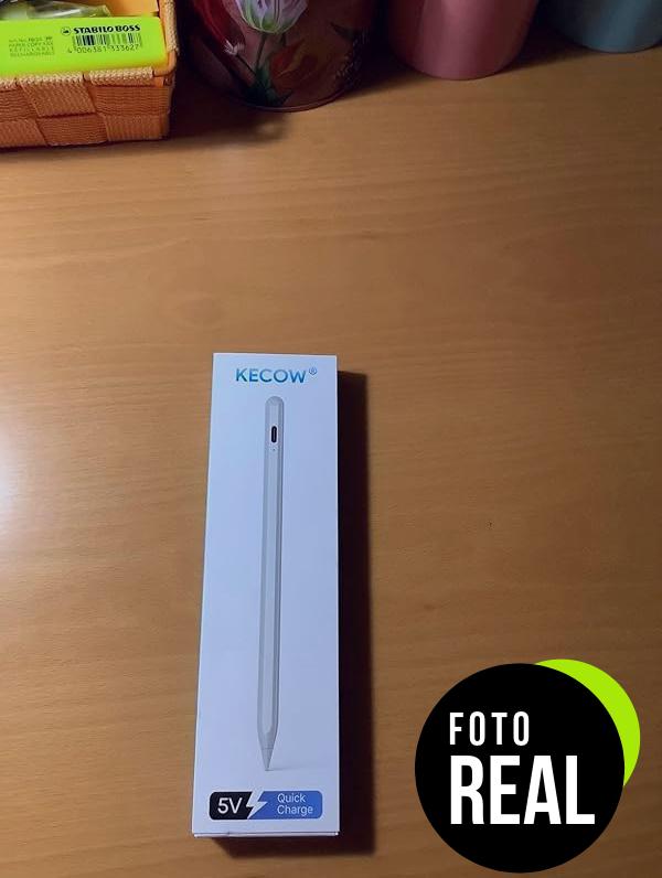 lapiz-stylus-ipad-2024-rechazo-palma-foto-3